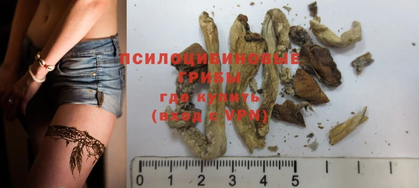 a pvp Богданович