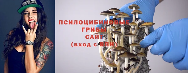 a pvp Богданович