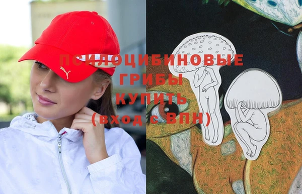 синтетический гашиш Богородск