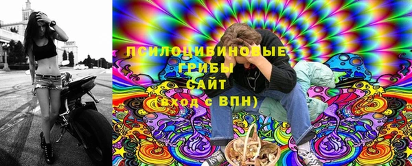 синтетический гашиш Богородск