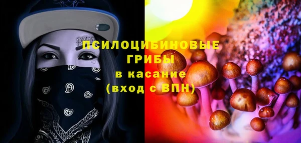 a pvp Богданович