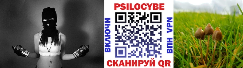 продажа наркотиков  Гороховец  мориарти состав  Псилоцибиновые грибы Magic Shrooms  omg как войти 